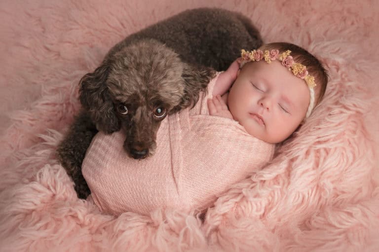 nyfødtfotografering lillestrøm med kjæledyr