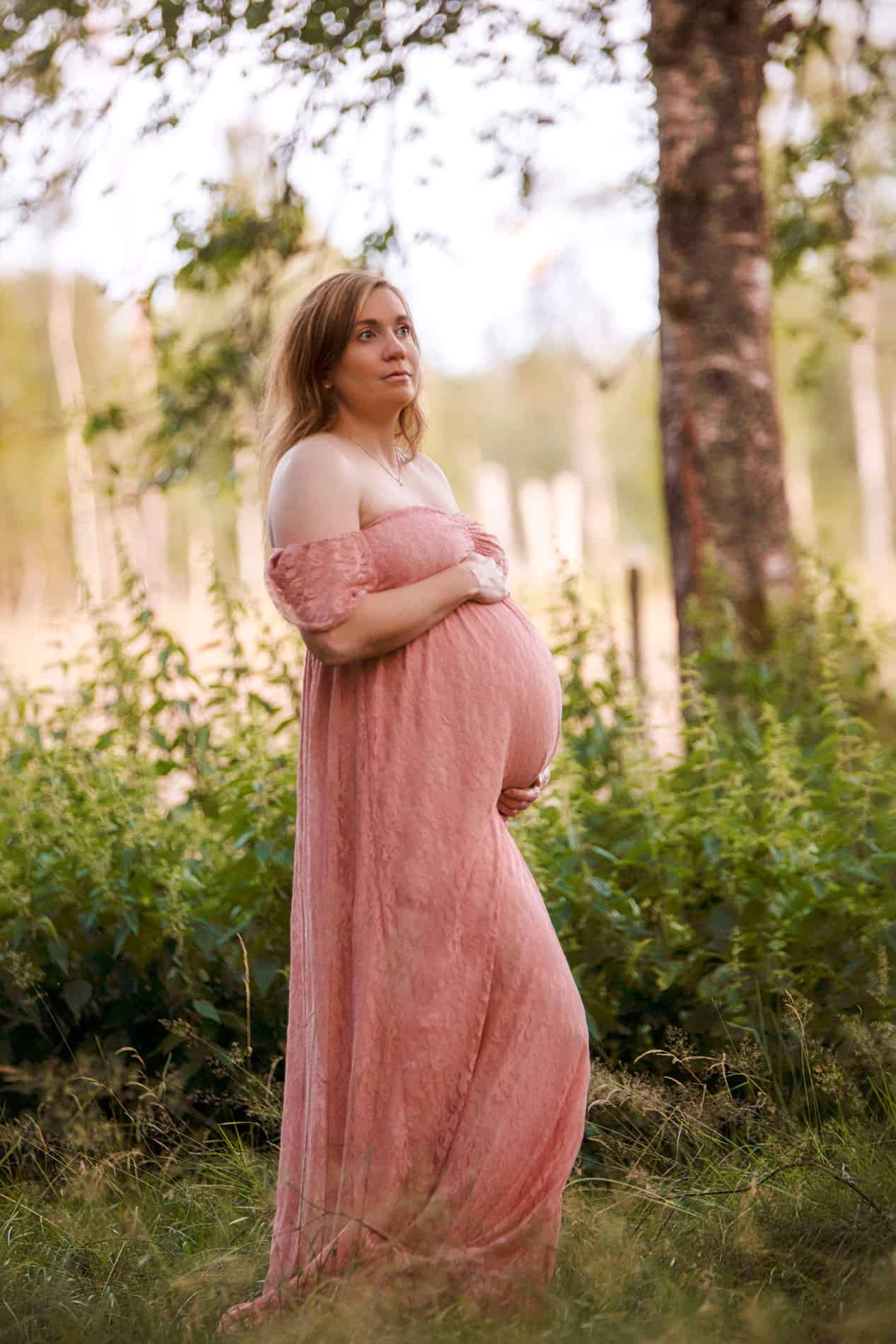 gravidfotografering i skogen ved solnedgang