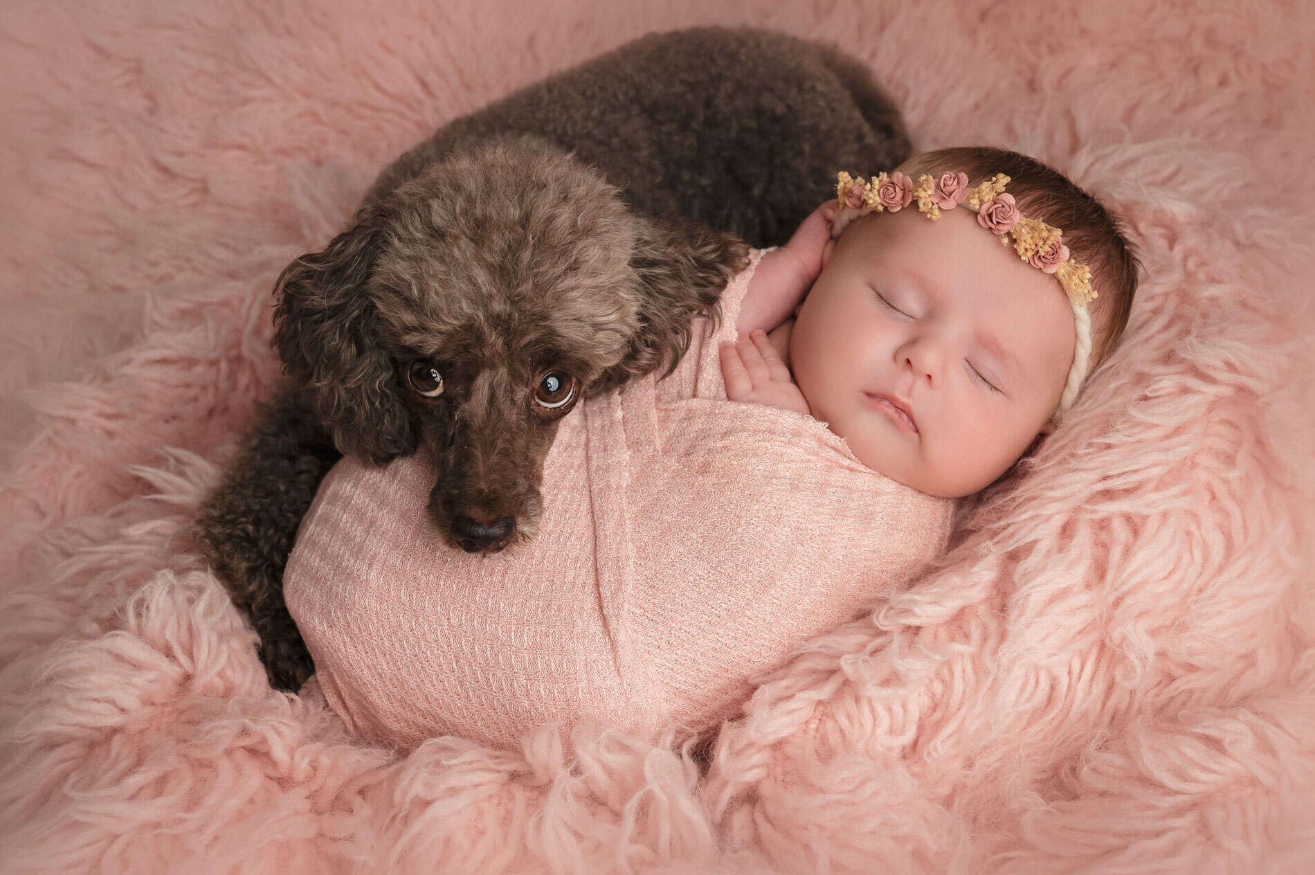 Nyfødt baby med valp på myk rosa pels, profesjonell fotografering.